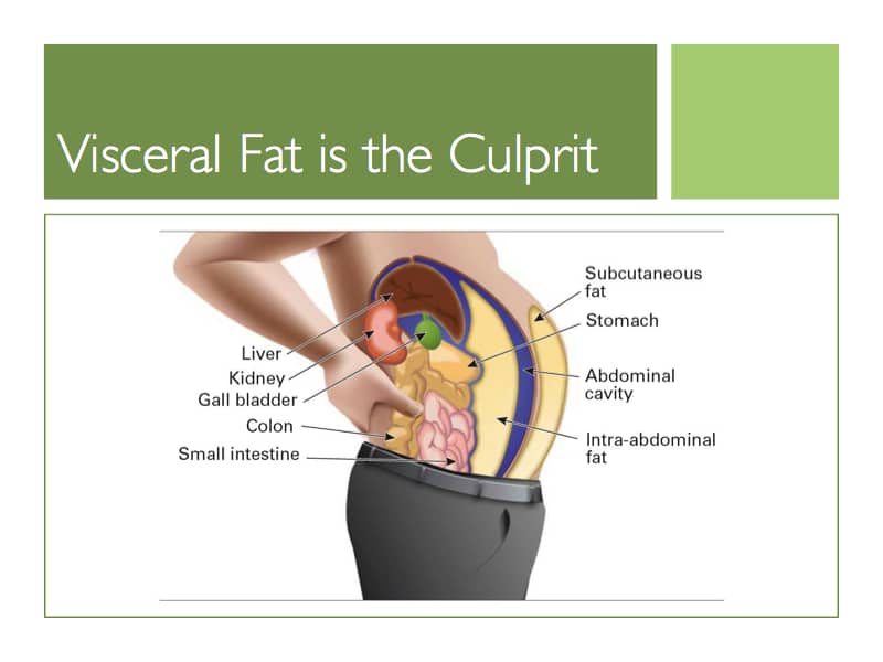 Picture from the Visceral Fat Guide