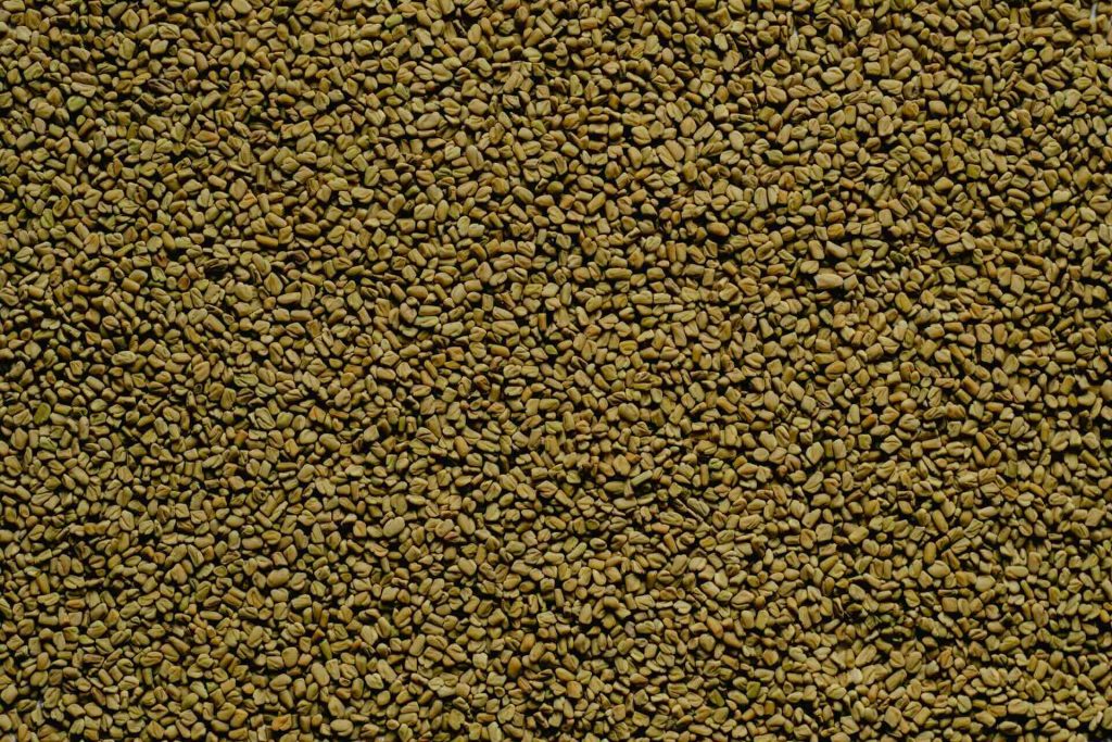 Large pile of fenugreek seeds