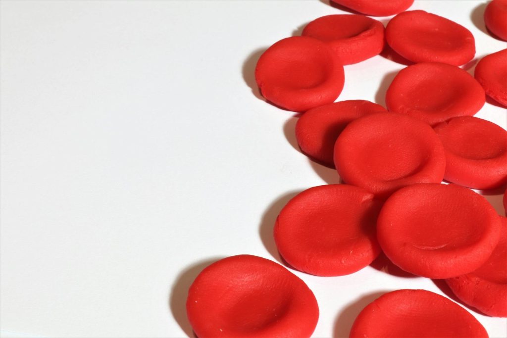 Picture of red blood cells against a white background