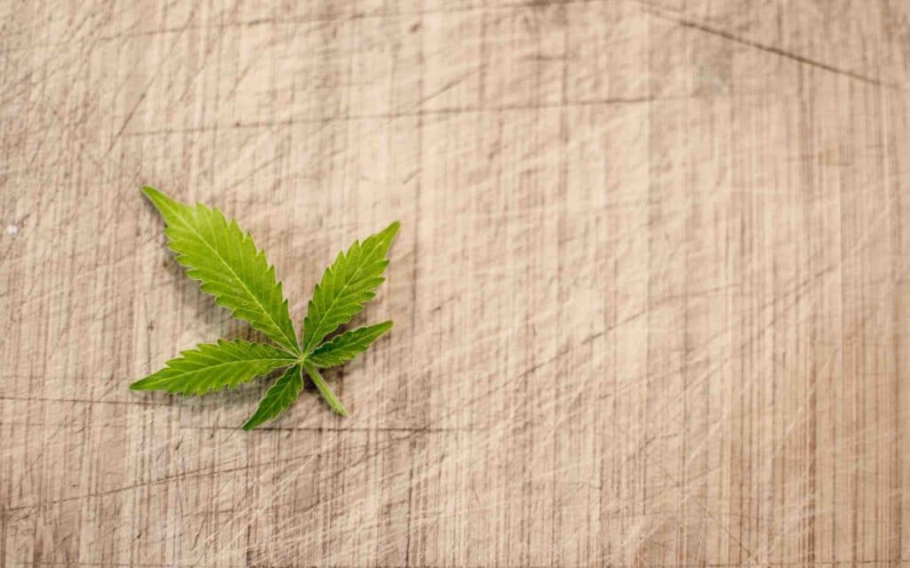 Cannabis leaf on a canvas fabric