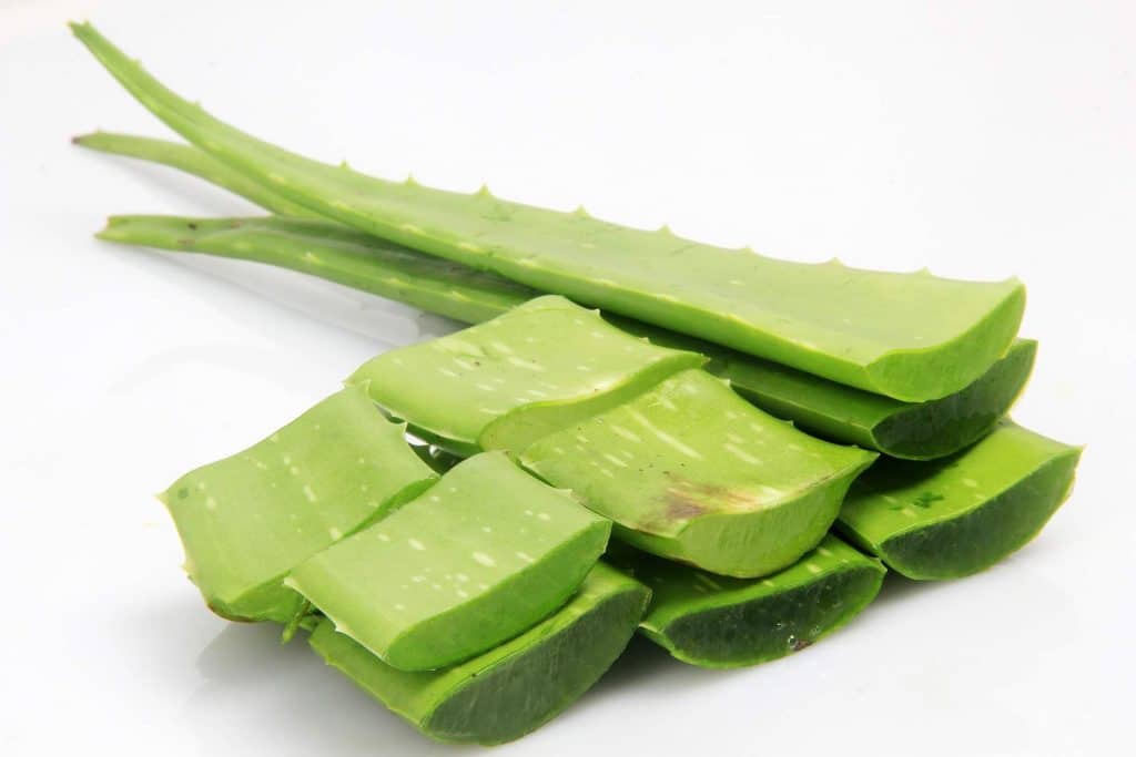 Slices of aloe vera plant gel