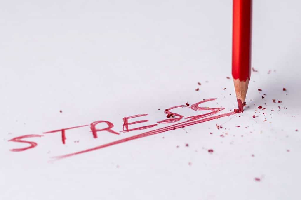 The word "stress" written in red pencil