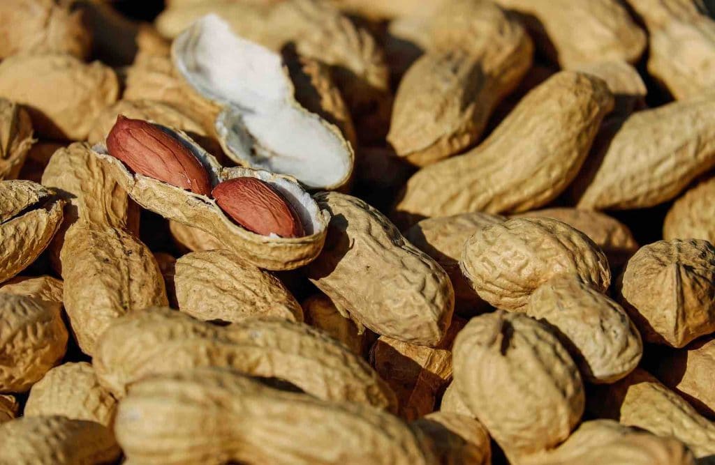 Pile of dry-roasted peanuts