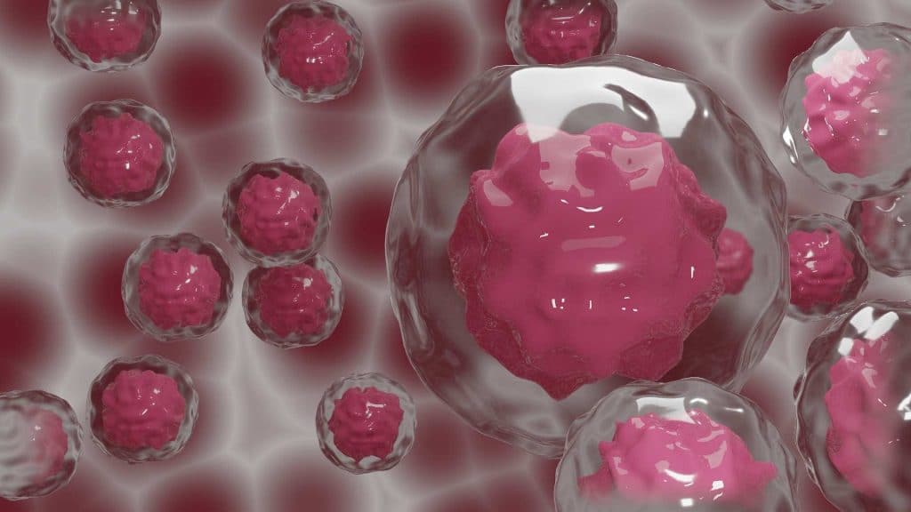 Digital illustration of stem cells