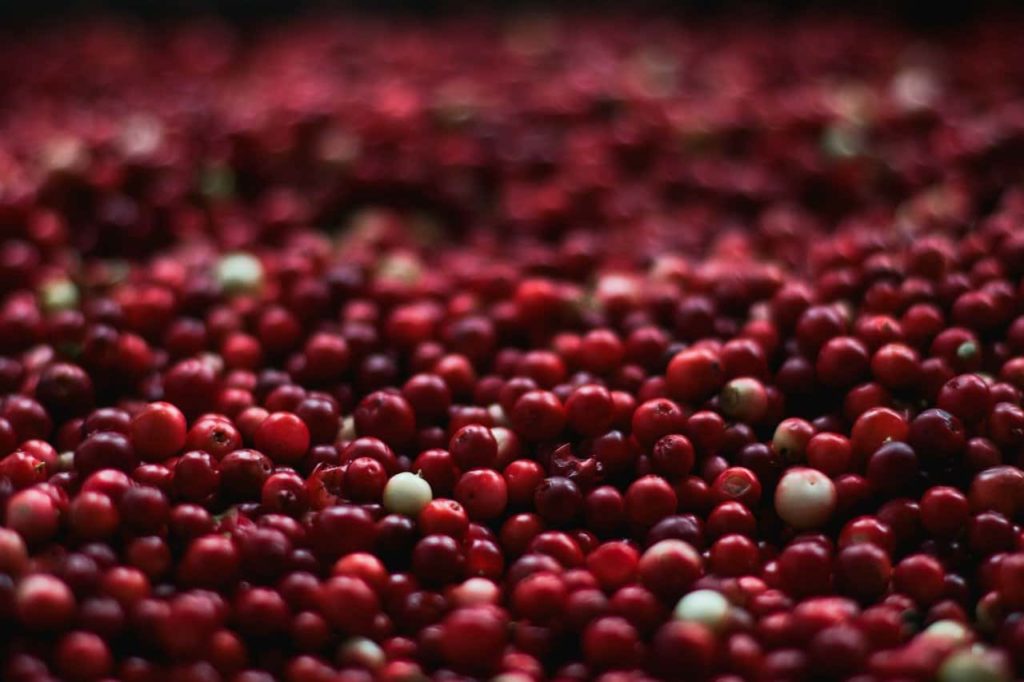 Cranberries in a pile