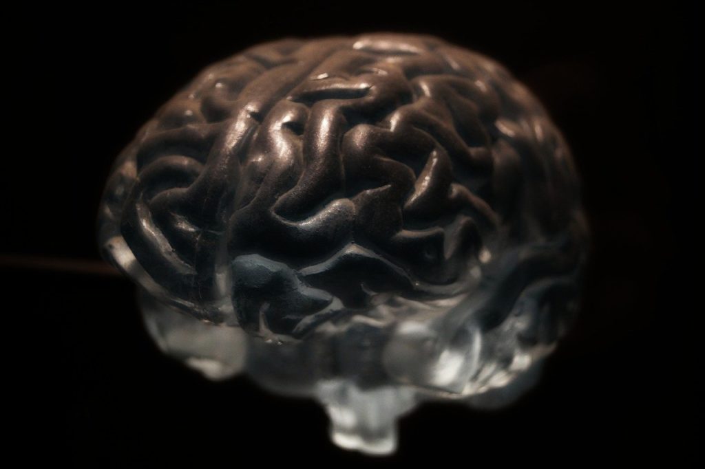 Model of a brain against a black background