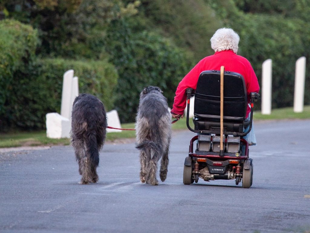 Elderly woman using a mobility scooter to walk her dogs